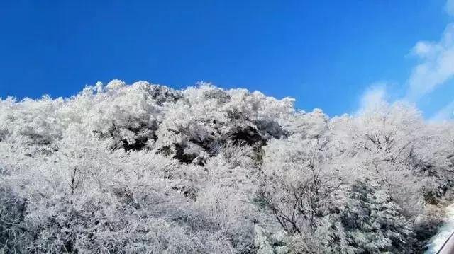 超级坦克联盟3